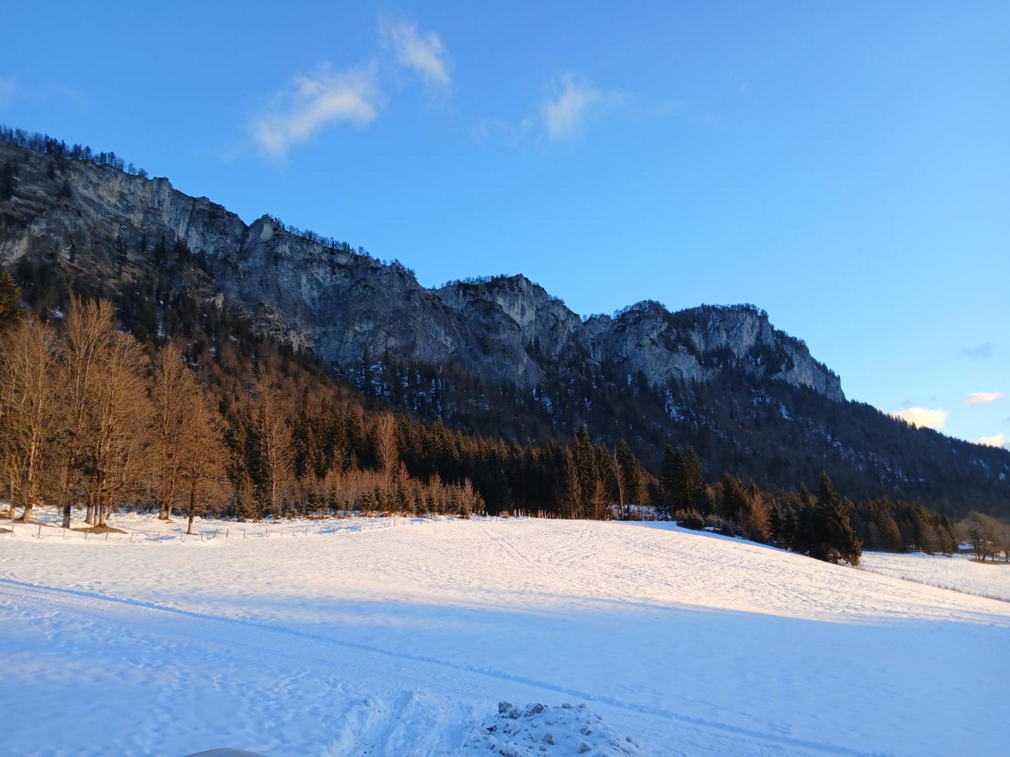Ferienwohnung Maurerhof Sankt Johann in Tirol Dış mekan fotoğraf