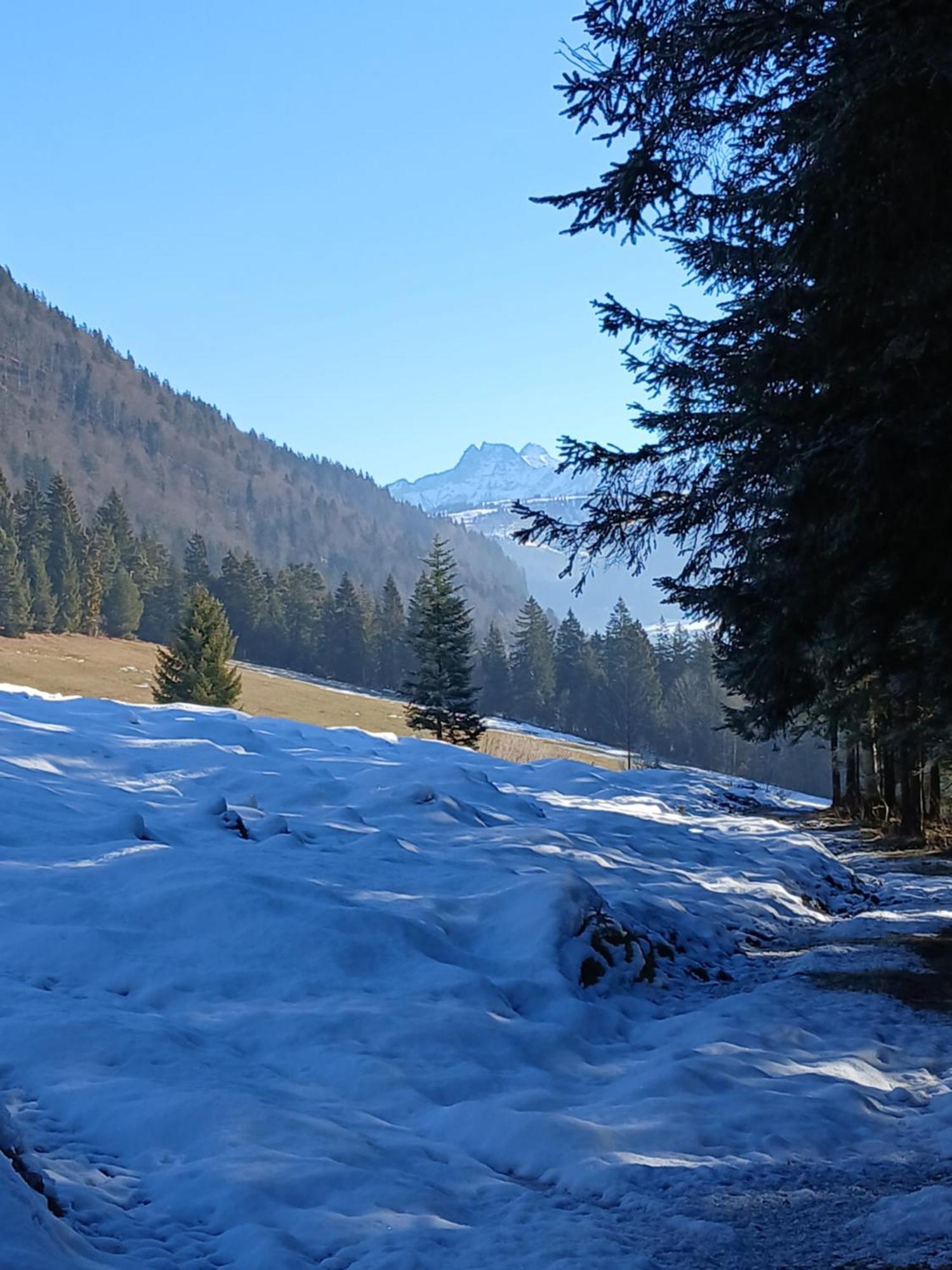 Ferienwohnung Maurerhof Sankt Johann in Tirol Dış mekan fotoğraf