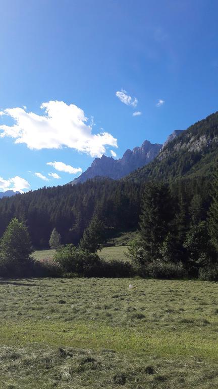 Ferienwohnung Maurerhof Sankt Johann in Tirol Dış mekan fotoğraf