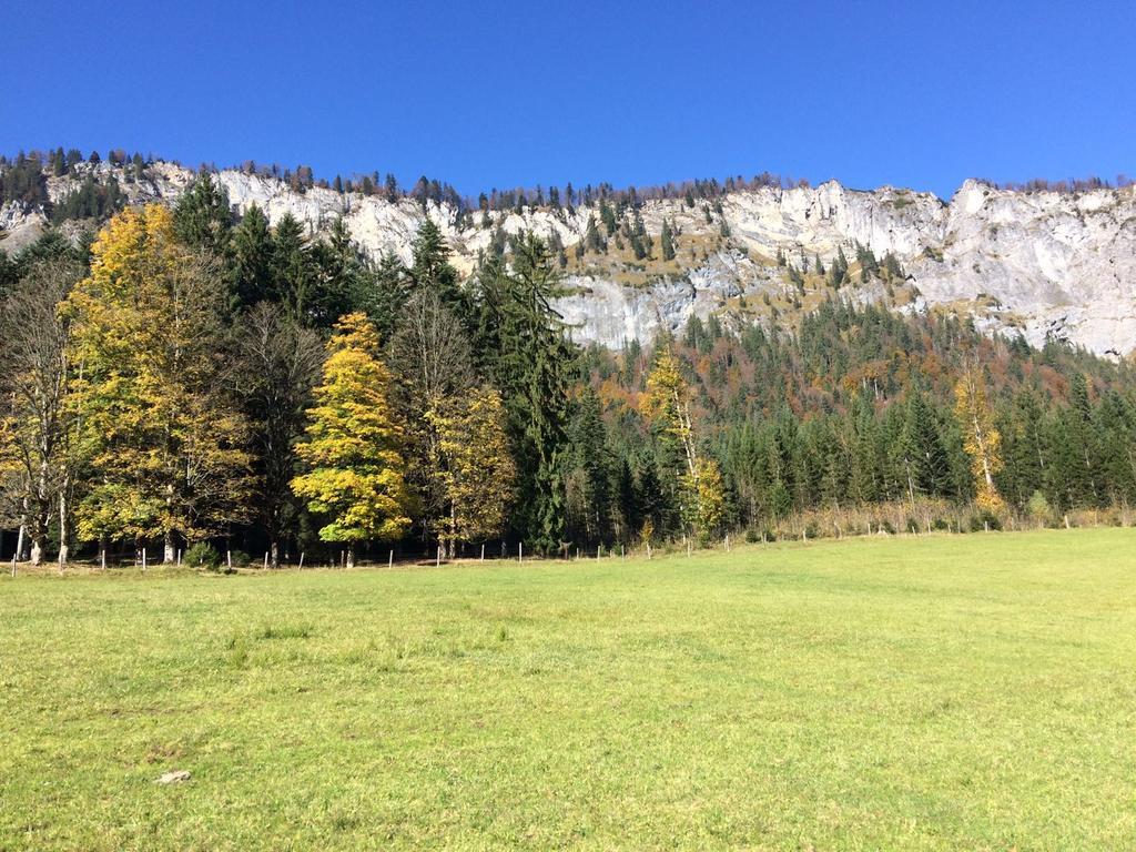 Ferienwohnung Maurerhof Sankt Johann in Tirol Dış mekan fotoğraf