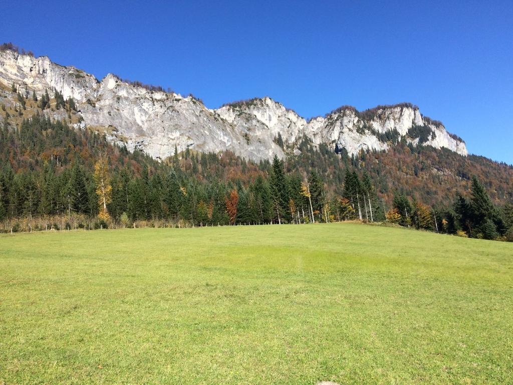 Ferienwohnung Maurerhof Sankt Johann in Tirol Dış mekan fotoğraf