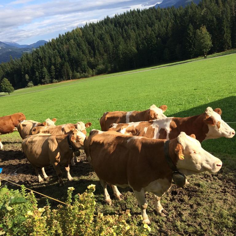 Ferienwohnung Maurerhof Sankt Johann in Tirol Dış mekan fotoğraf